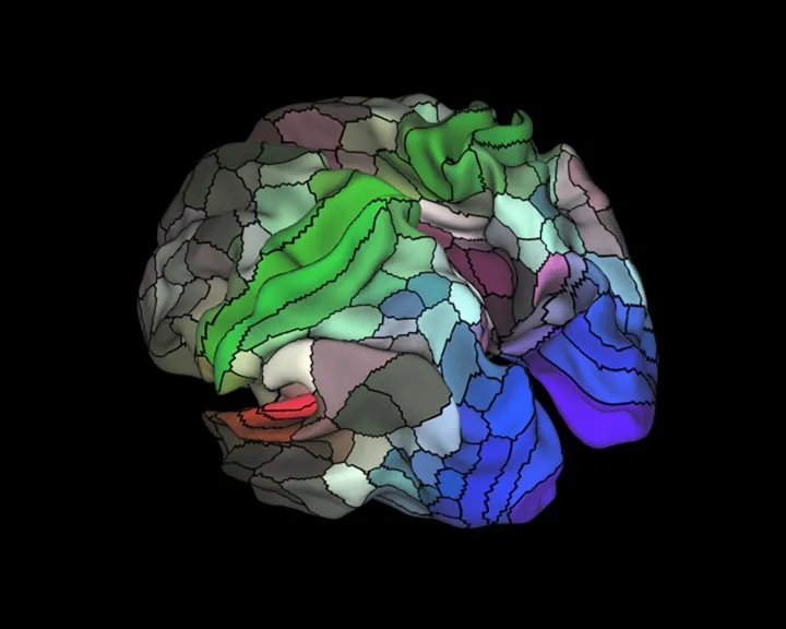 Brain Map 2