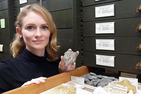 Cole had been using fossils in the National Museum of Natural History’s Springer collections for her research long before joining the museum as a curator. (Selina Cole, Smithsonian)