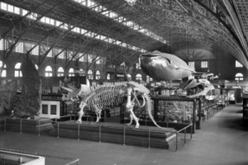 20110520083129smithsonian-archive-louisiana-exhibition-300x243.jpg