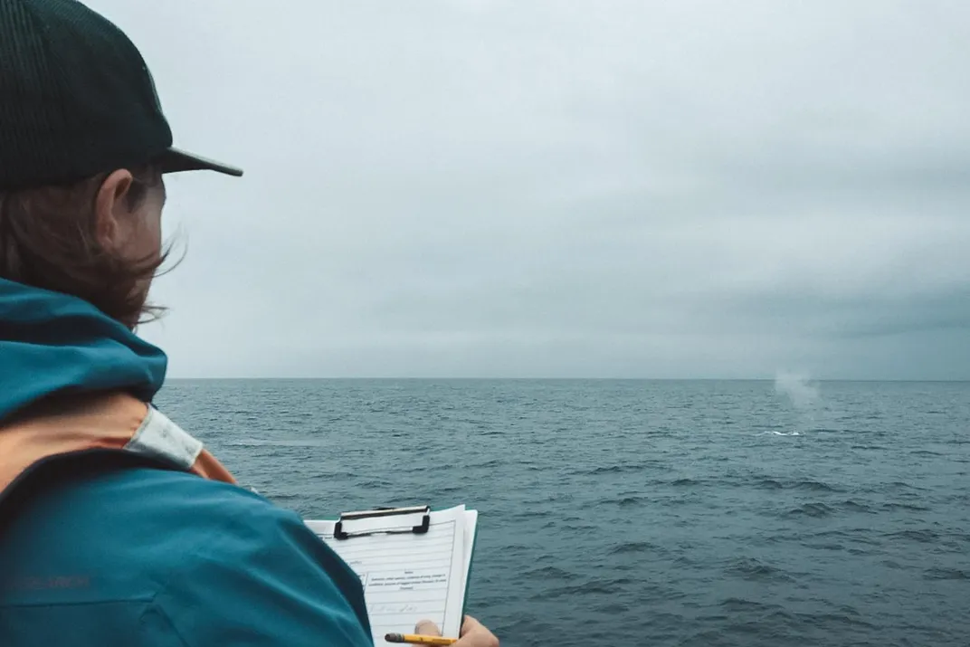 A man wearing a windbreaker jacket and baseball cap stands on a research vessel and takes notes on a clipboard while observing a blue whale in the ocean. The sky is blue-gray and the whale's blow forms a misty cloud above the surface of the deep blue wate