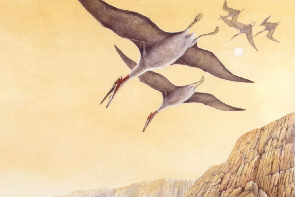 Quetzalcoatlus