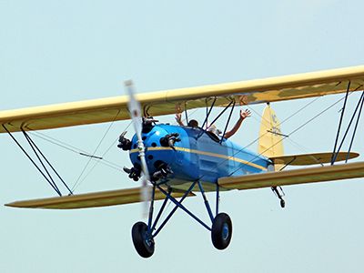 Bird631x300.jpg