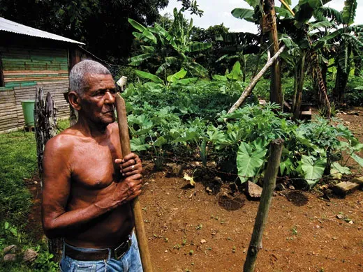 Taino Farmer Planting