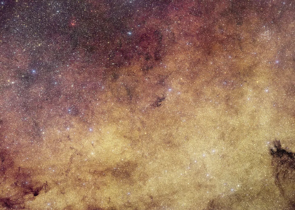 Euclid's view of the Milky Way's center, containing millions of densely-packed gold and purple stars