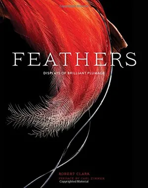 Preview thumbnail for Feathers: Displays of Brilliant Plumage