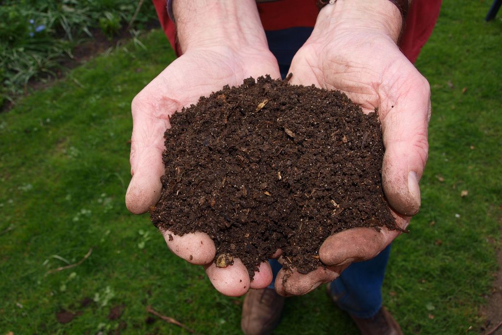 Soil in hands