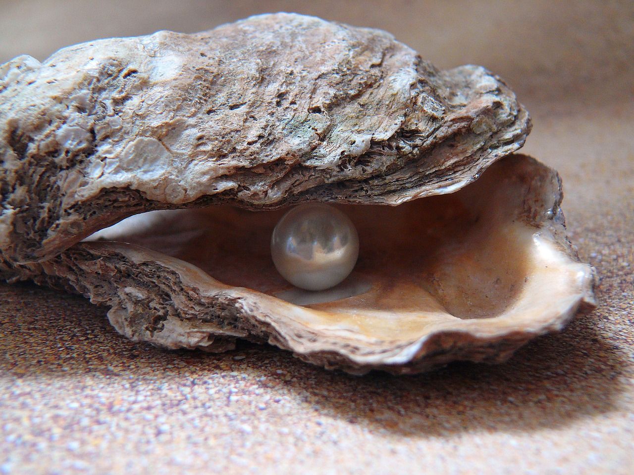 White Pearl Myths – Debunked! – Timeless Pearl