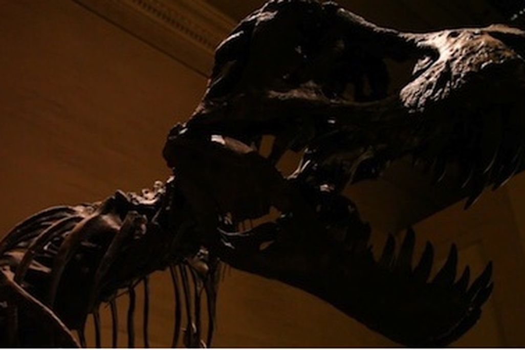 Dino_Thumb.jpg