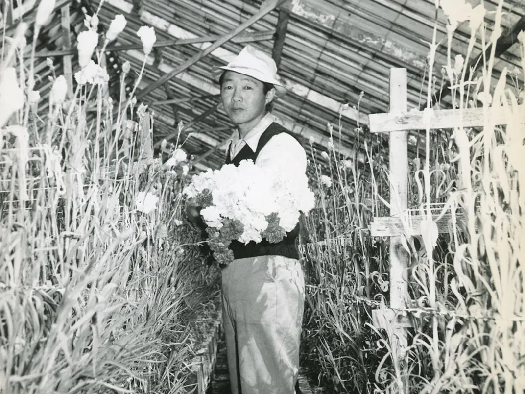 In this 1949 photograph, Mori works in his family’s nursery in San Leandro, California