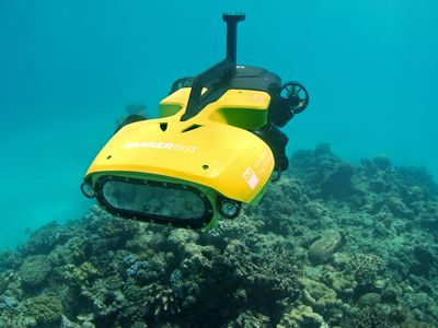 RangerBot is an autonomous underwater vehicle designed to identify and kill crown-of-thorns starfish by lethal injection.