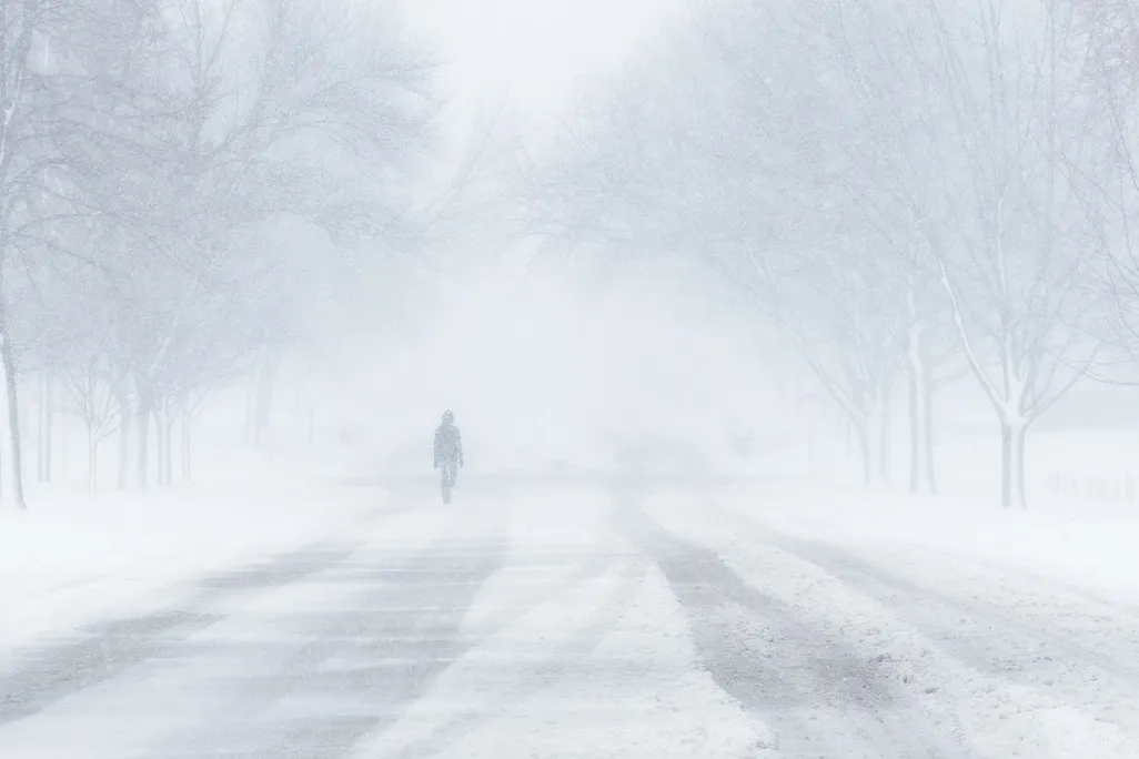 blizzard-1972645_1280.jpg