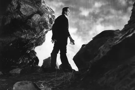 Boris Karloff as Frankenstein's monster from the classic 1931 horror film&nbsp;Frankenstein