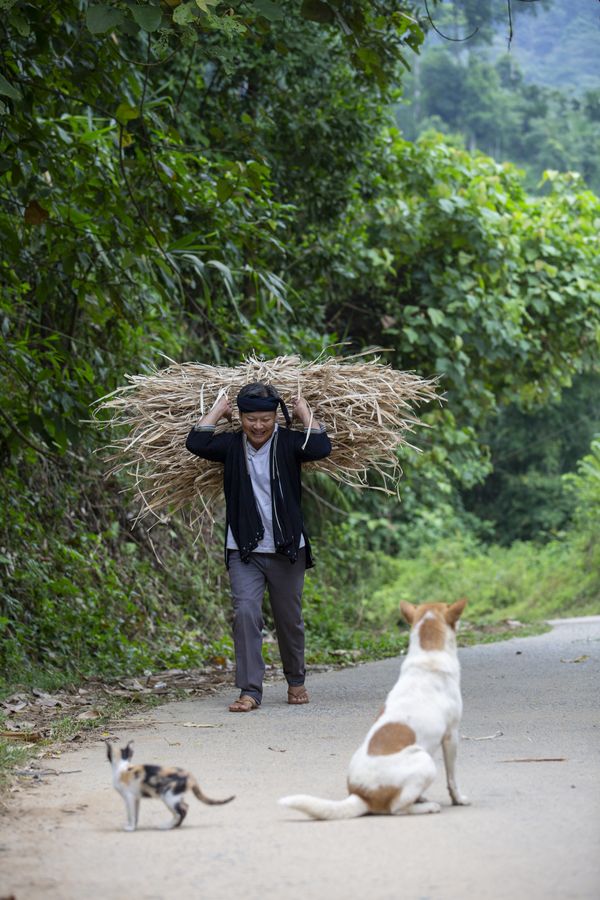 Dad, welcome home thumbnail