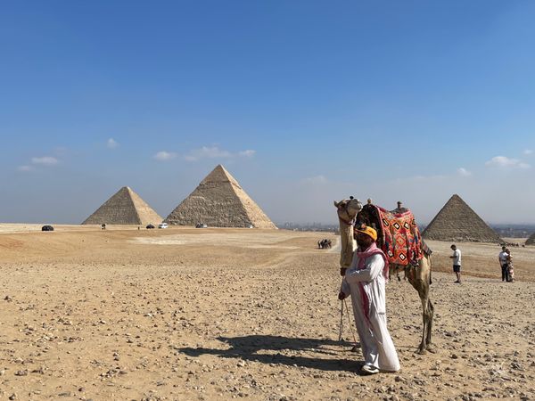 Camel and Driver at the Pyramids thumbnail