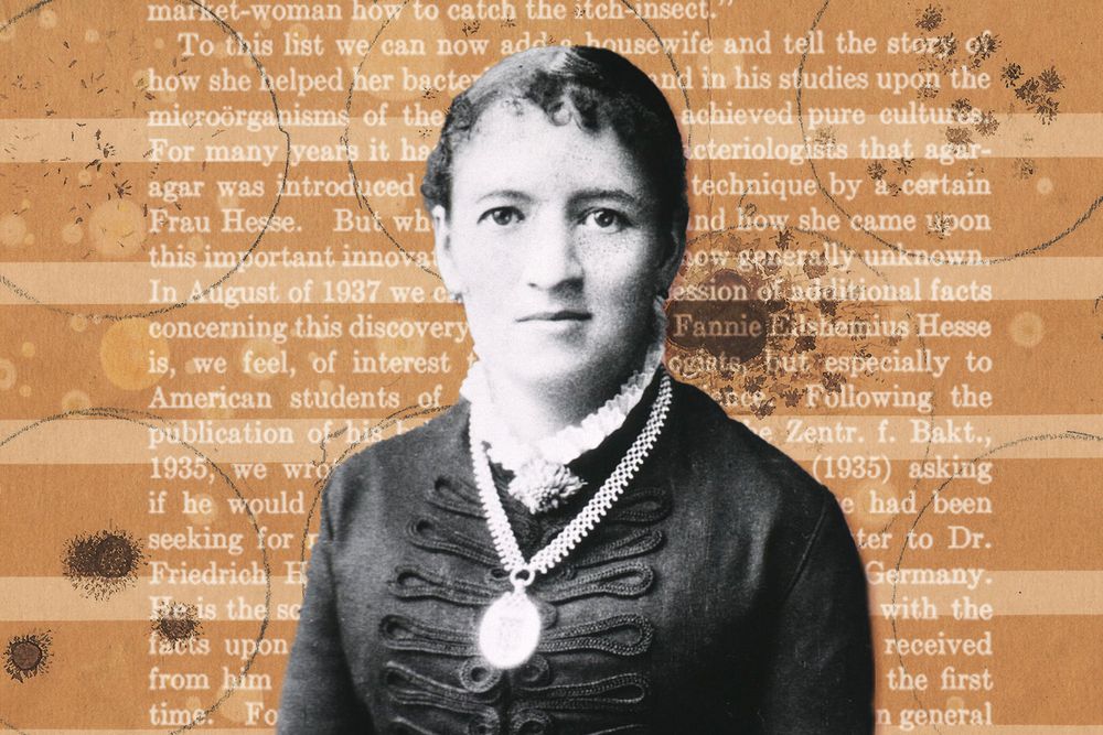An illustration of Fanny Angelina Hesse