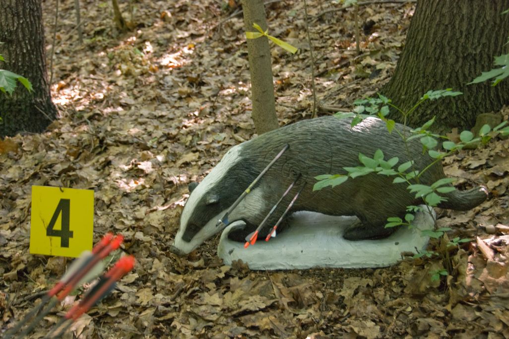 20130531093043badger.jpg