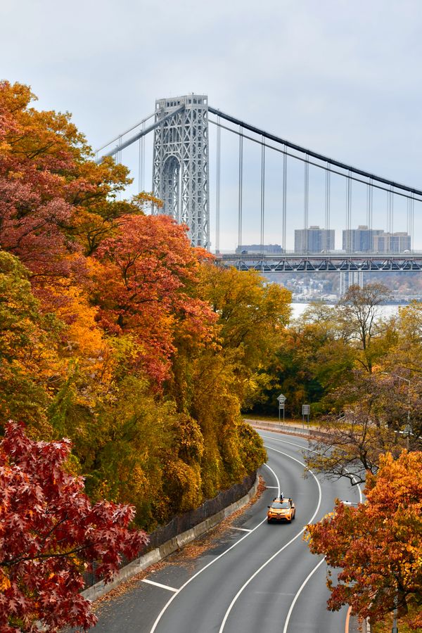 Fall in New York City thumbnail