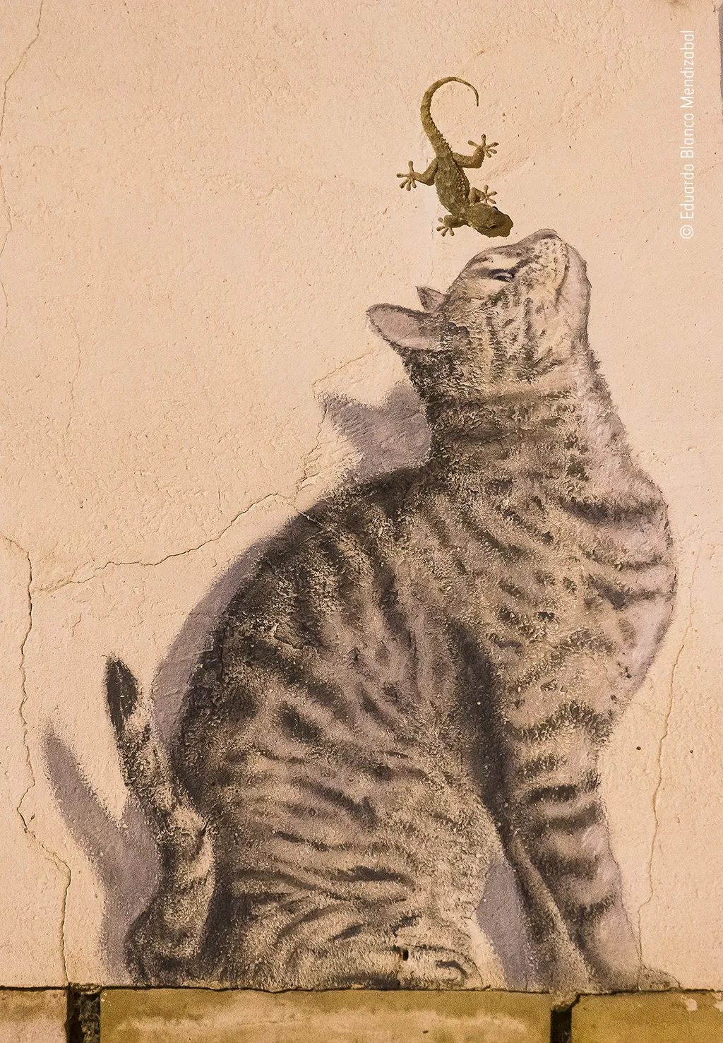 a gecko crawls up to the nose of a painted cat on a wall