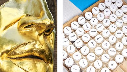 Sniffing Out the Science of Smelling