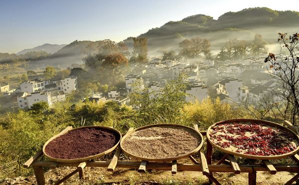 Crop drying in Huangling Village thumbnail