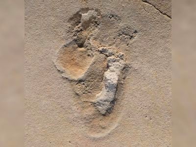 New research suggests these&nbsp;human-like footprints found in Crete may by 6.05 million years old.