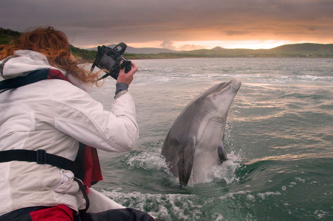 A Dolphin Has Been Living Solo in This Irish Harbor for Decades