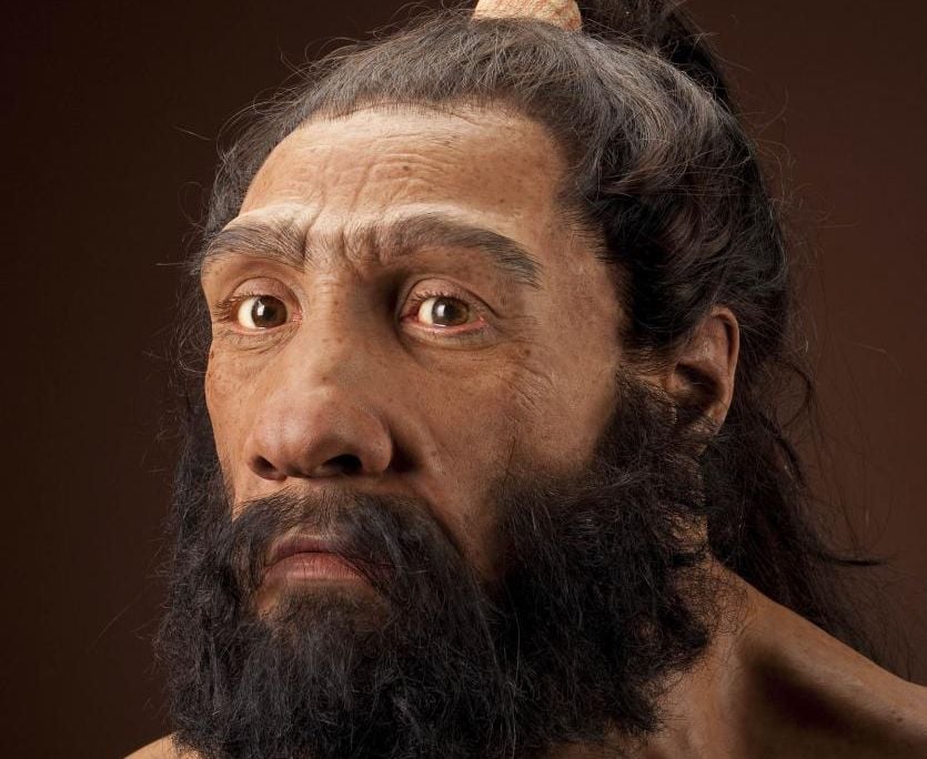 neanderthalensis_JG_Recon_Head_CC_3qtr_lt_sq.jpg