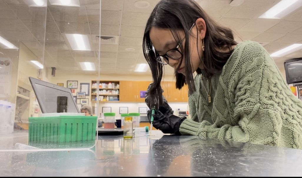 Angie Fogarty in the lab