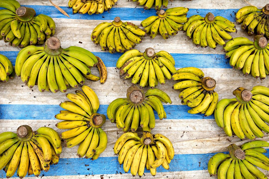 bananas at market