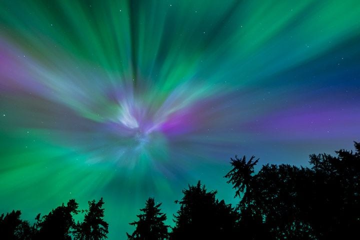 green and purple streaks emanate from a point in the left center of the image, with silhouettes of evergreen trees below