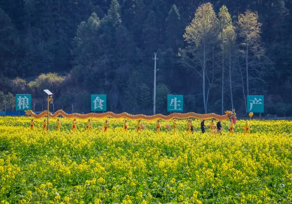 Dragon Among the Sea of Flowers thumbnail