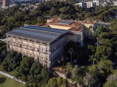 Brazil Lost 80 Percent of Its National Museum Collection in One Night. Here's How It's Fighting to Rebuild image
