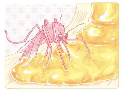A mosquito stuck in resin is on its way to becoming a fossil preserved in amber.
