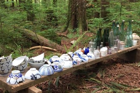Dishes and bottles found at the site in the Lower Seymour Conservation Reserve.