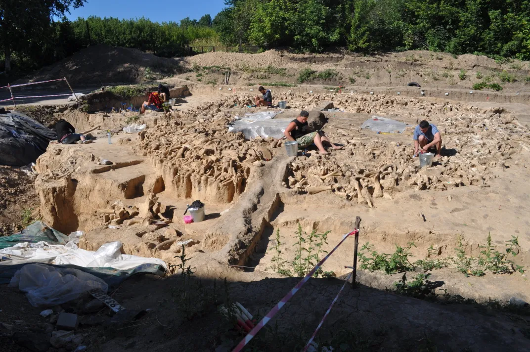Researchers excavating mammoth site