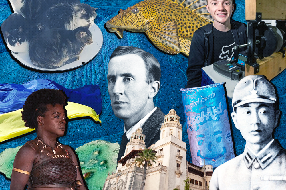 Illustration of people, animals and objects from Smithsonian's top ten stories of the year