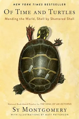 Preview thumbnail for 'Of Time and Turtles: Mending the World, Shell by Shattered Shell