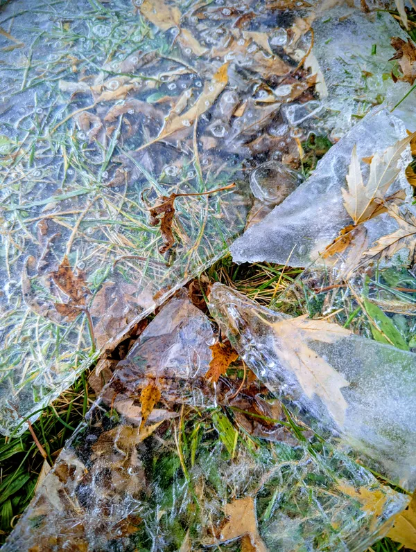 Ice in Fall thumbnail