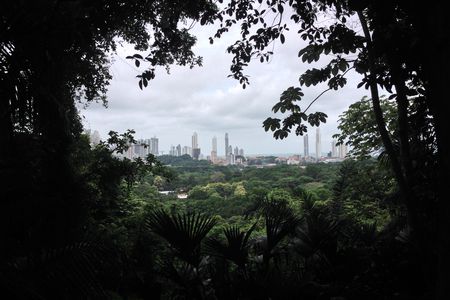 Ciudad_Panama.JPG