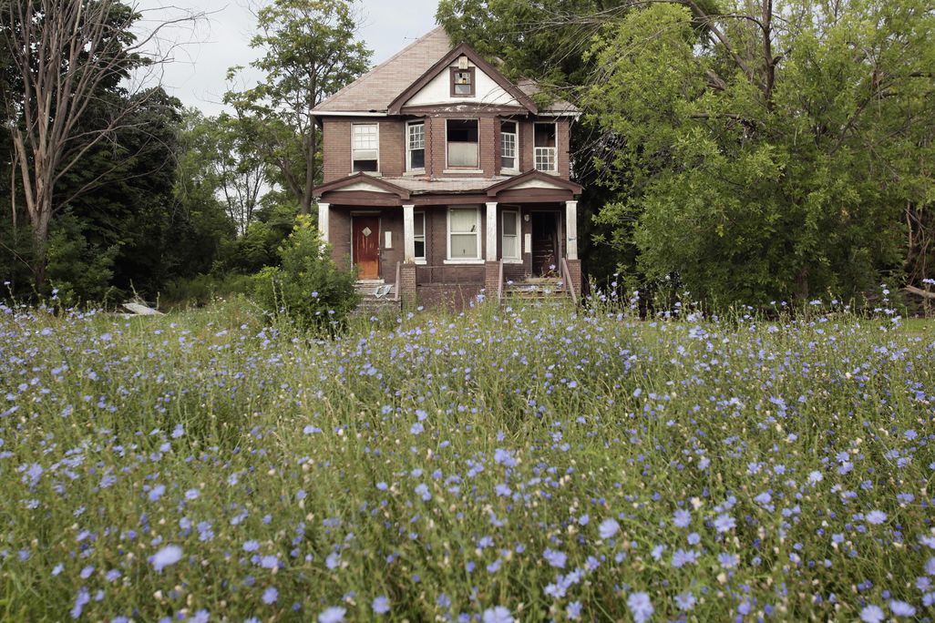 detroit