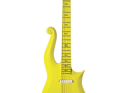 Prince's Guitar