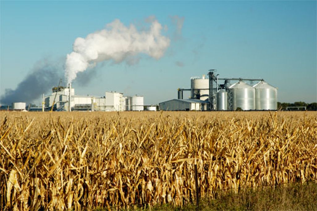 biofuel-factory.jpg