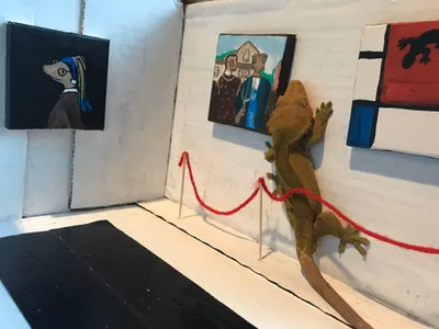 The Mayor, a crested gecko, takes a feet-on approach to appreciating art.