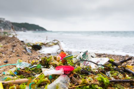 Ocean Legacy has a task not even Sisyphean would envy: picking up, sorting and recycling the vast amount of plastic that ends up on our shores.