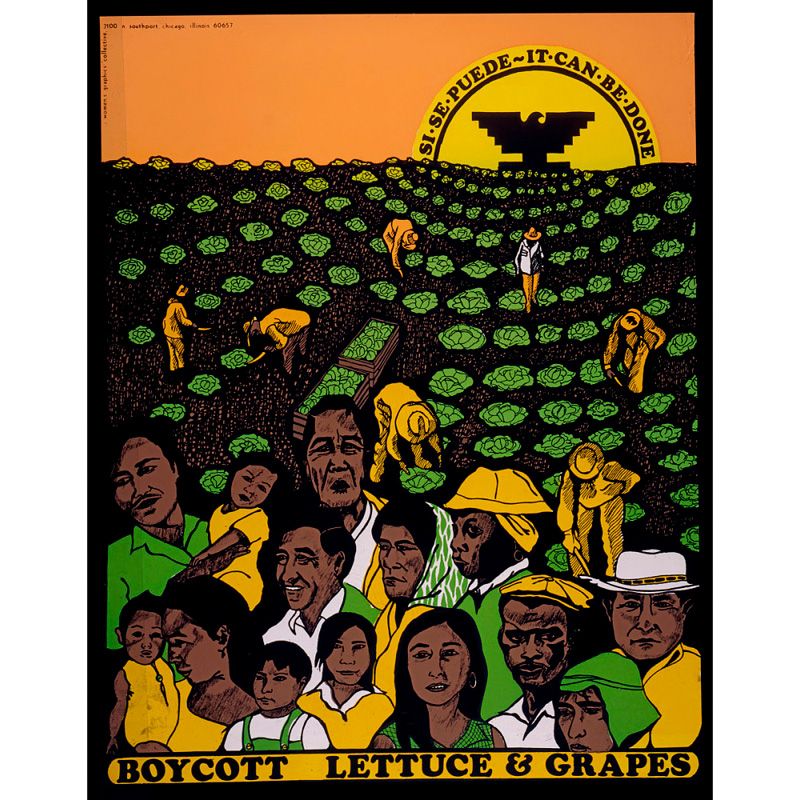 Boycott poster depicting workers in lettuce field