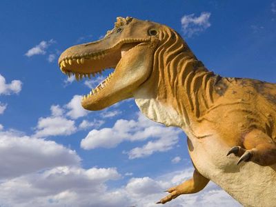 T. rex had tiny arms. But that’s no reason to mock the dinosaur.
