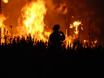A firefighter stands in a blaze at the Florida Panther National Wildlife Refuge in 2009.