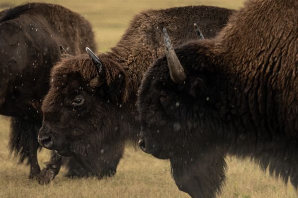 Waiting it out thumbnail