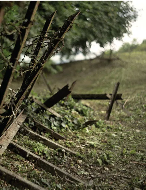 The Scars of World War I