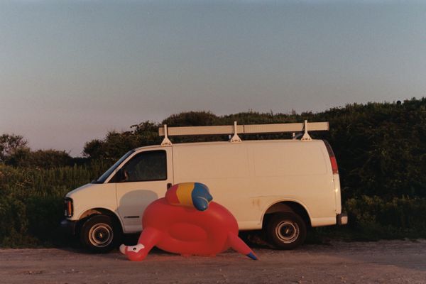 A Van and a Parrot Down by the Beach thumbnail